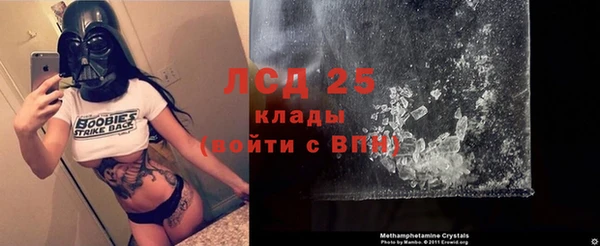мяу мяу мука Армянск