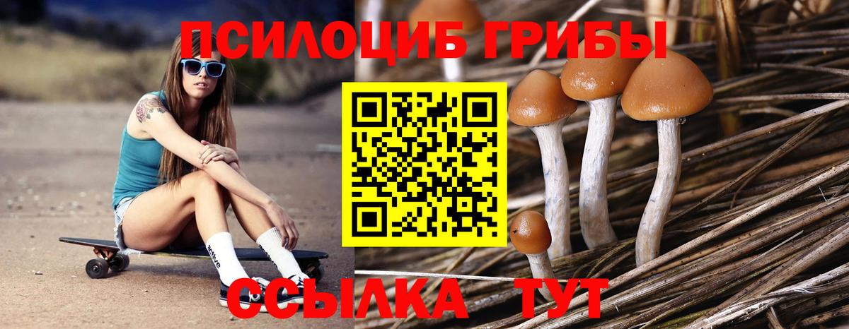 Галлюциногенные грибы мухоморы Волхов