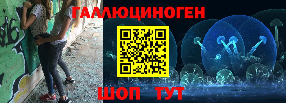 где купить наркоту  Вход с VPN  Волхов  Галлюциногенные грибы GOLDEN TEACHER  Галлюциногенные грибы Cubensis 